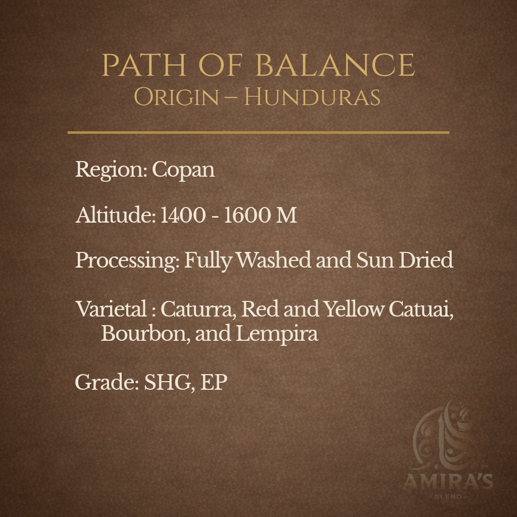 Honduras Medium Roast Mushroom Coffee– Path of Balance