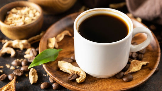 Sumatra Dark Roast Mushroom Coffee– Path of Depth