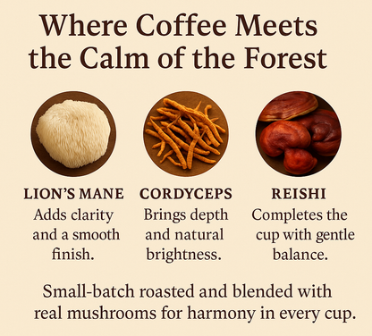 Honduras Medium Roast Mushroom Coffee– Path of Balance