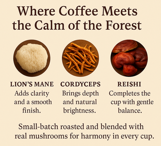 Honduras Medium Roast Mushroom Coffee– Path of Balance