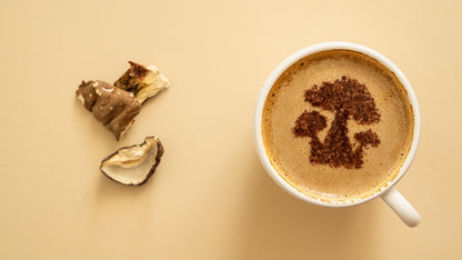 Honduras Medium Roast Mushroom Coffee– Path of Balance