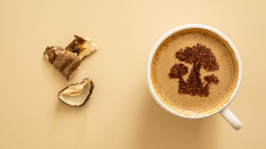 Honduras Medium Roast Mushroom Coffee– Path of Balance